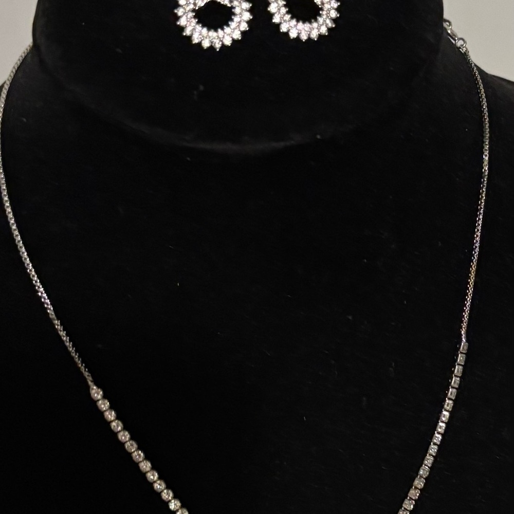 Elegant stainless steel Silver Necklace and Earring Set